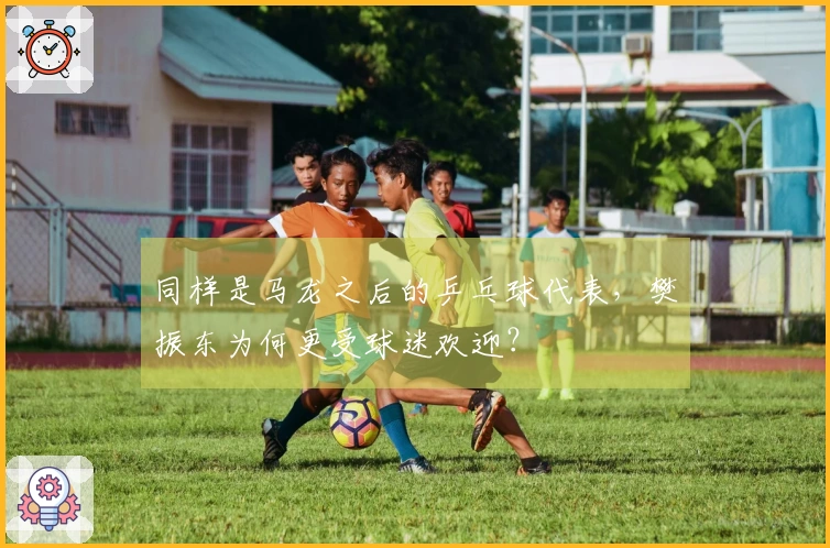 同样是马龙之后的乒乓球代表，樊振东为何更受球迷欢迎？