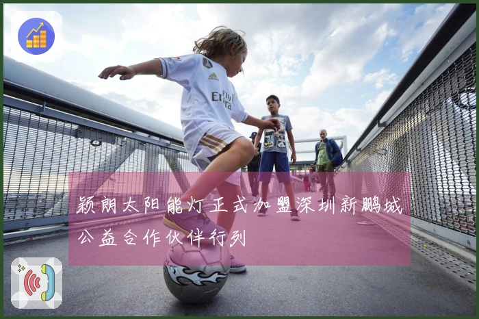 颖朗太阳能灯正式加盟深圳新鹏城公益合作伙伴行列