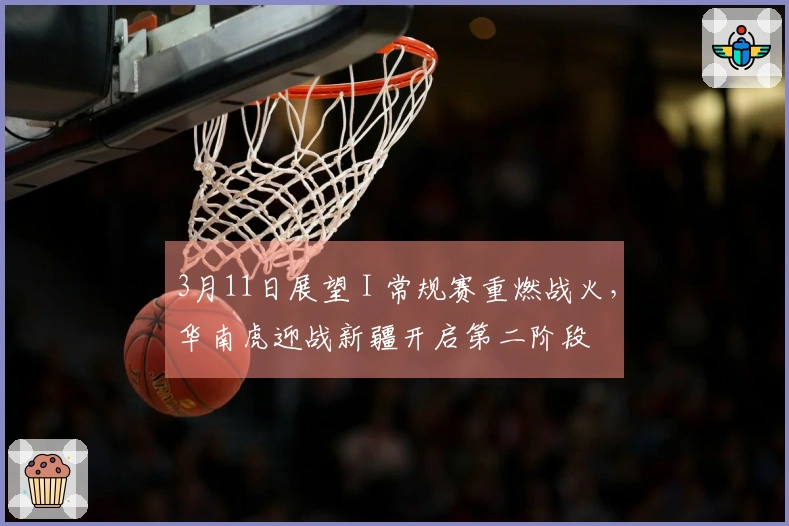 3月11日展望 I 常规赛重燃战火,华南虎迎战新疆开启第二阶段
