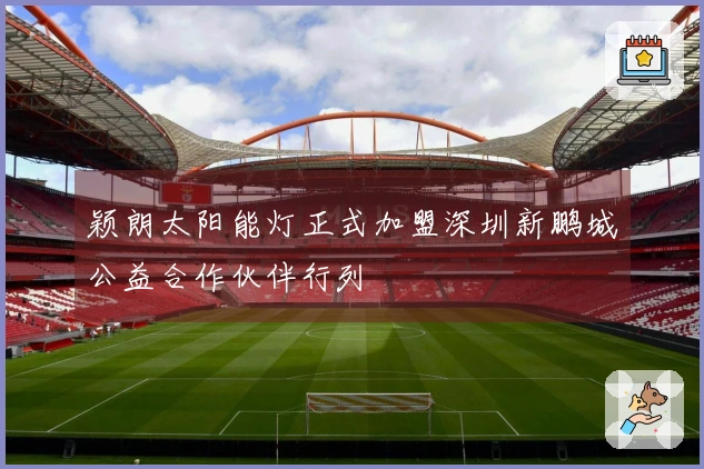颖朗太阳能灯正式加盟深圳新鹏城公益合作伙伴行列
