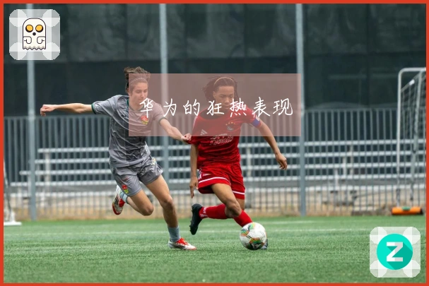 华为的狂热表现